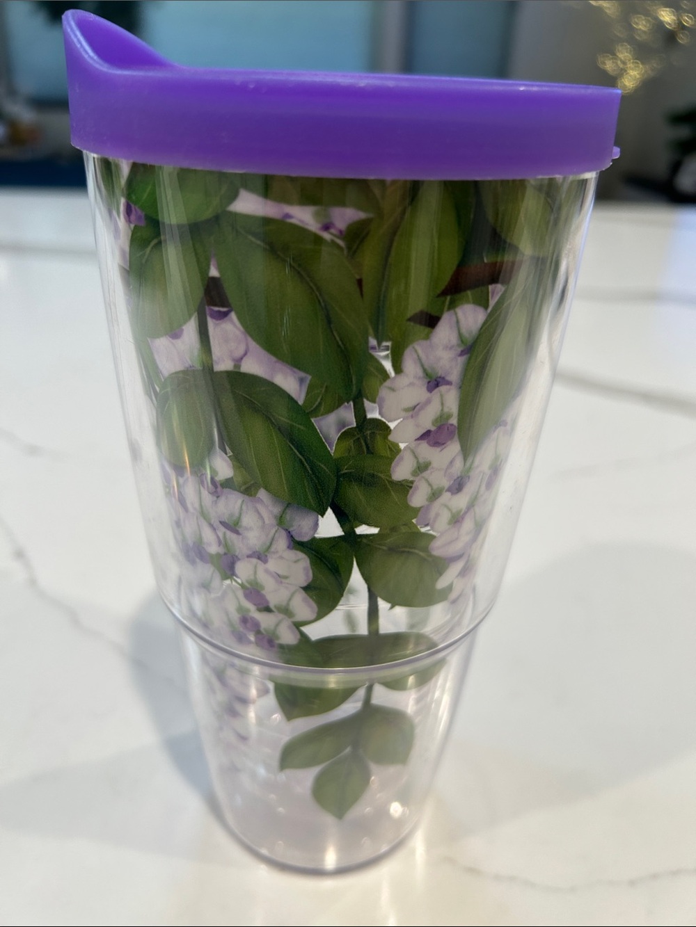 Tervis Tumbler with Purple Silicone Lid